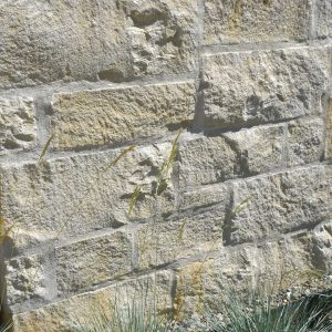 Limestone Veneer
