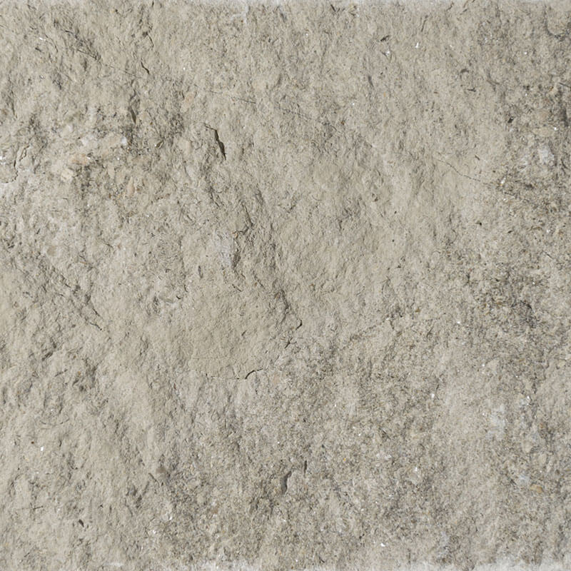 Capri - Fossil Limestone - Swatch