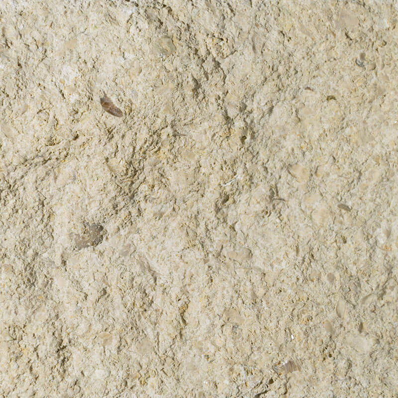 Capri - Savanna Limestone - Swatch