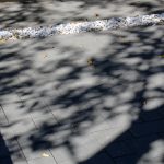 IMG_6018