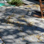 IMG_6027