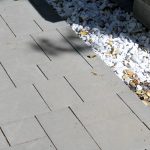 IMG_6043