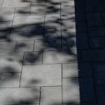 IMG_6198