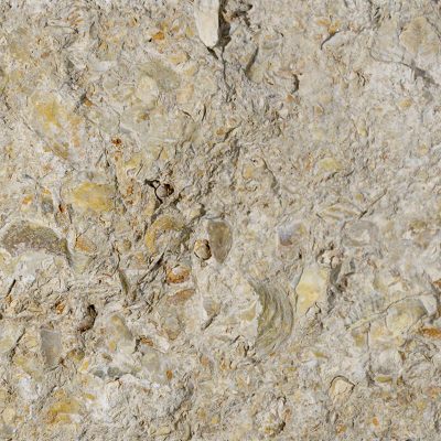 Capri - Hazelnut Shell - Swatch